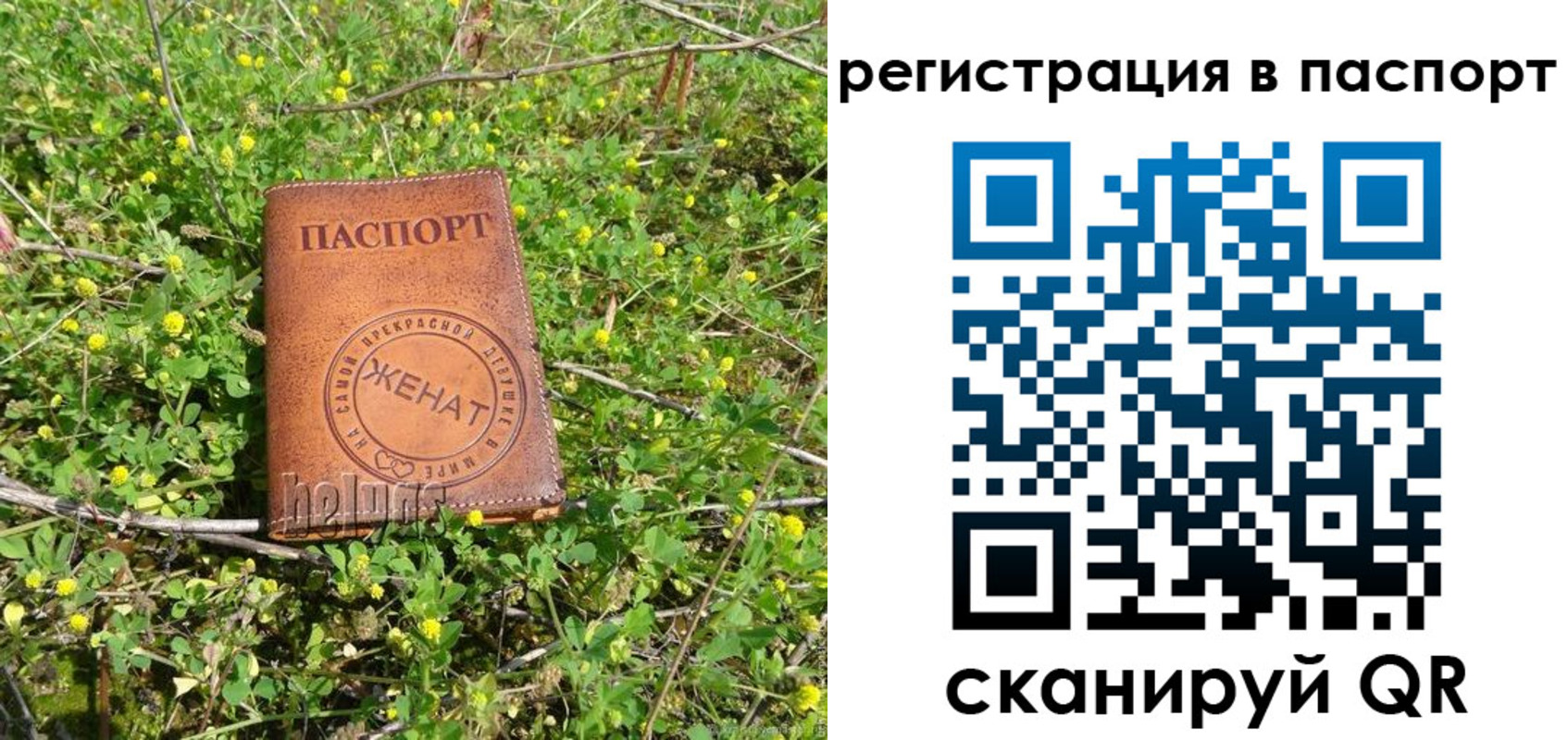 прописка законно в Калаче-на-Дону